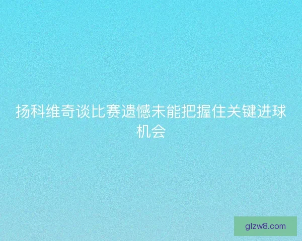 扬科维奇谈比赛遗憾未能把握住关键进球机会 扬科维奇谈比赛遗憾未能把握住关键进球机会
